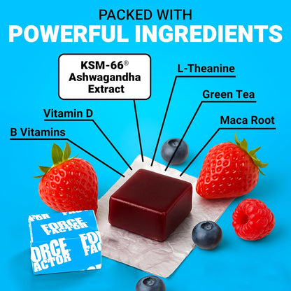KSM-66 ashwagandha soft chews for daily support