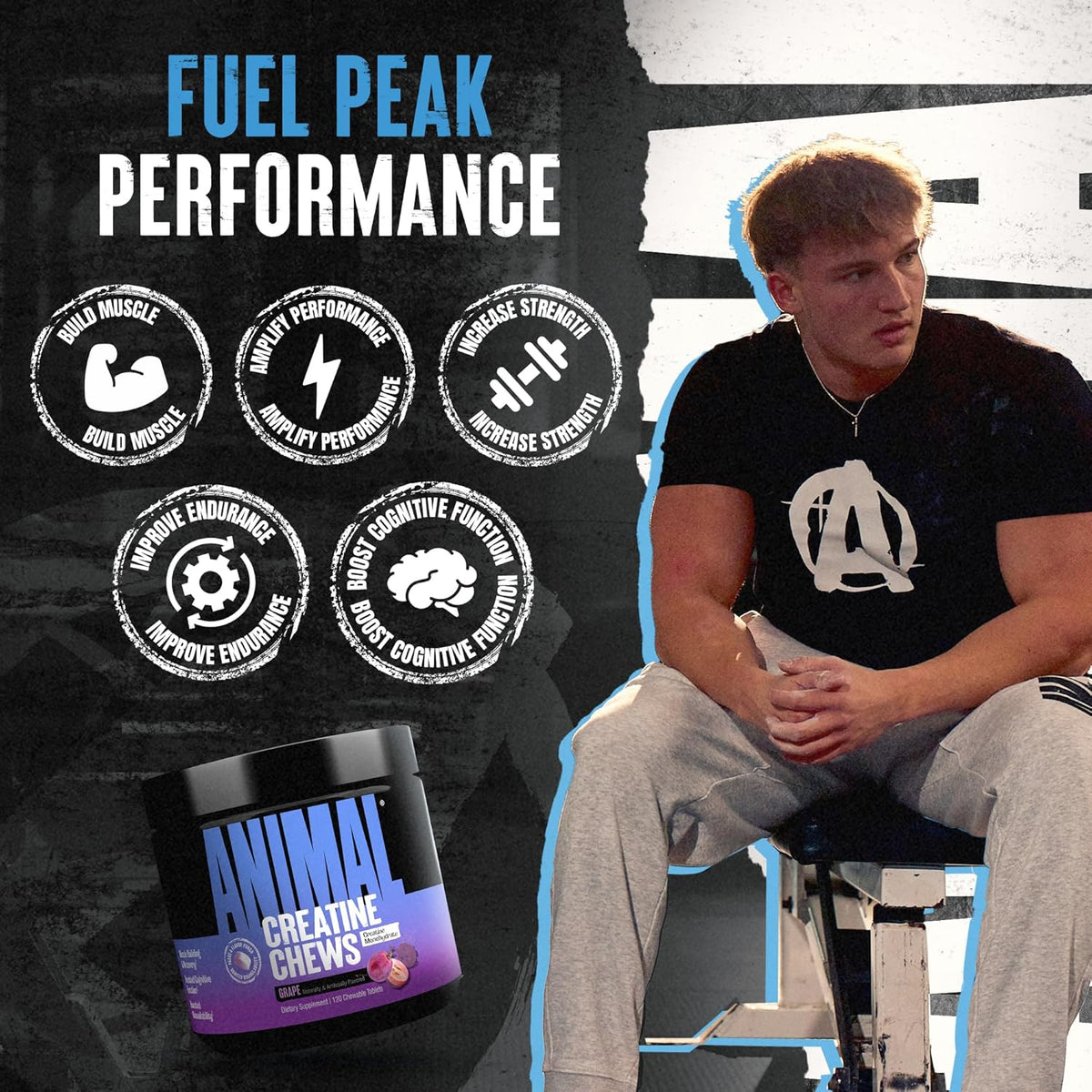 Animal 5g creatine supplement chews