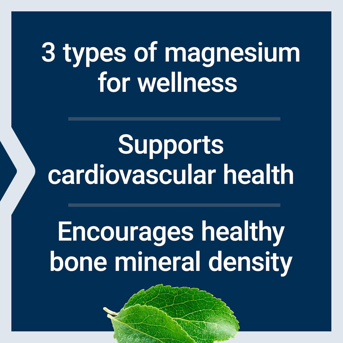 500 mg magnesium capsules for daily wellness