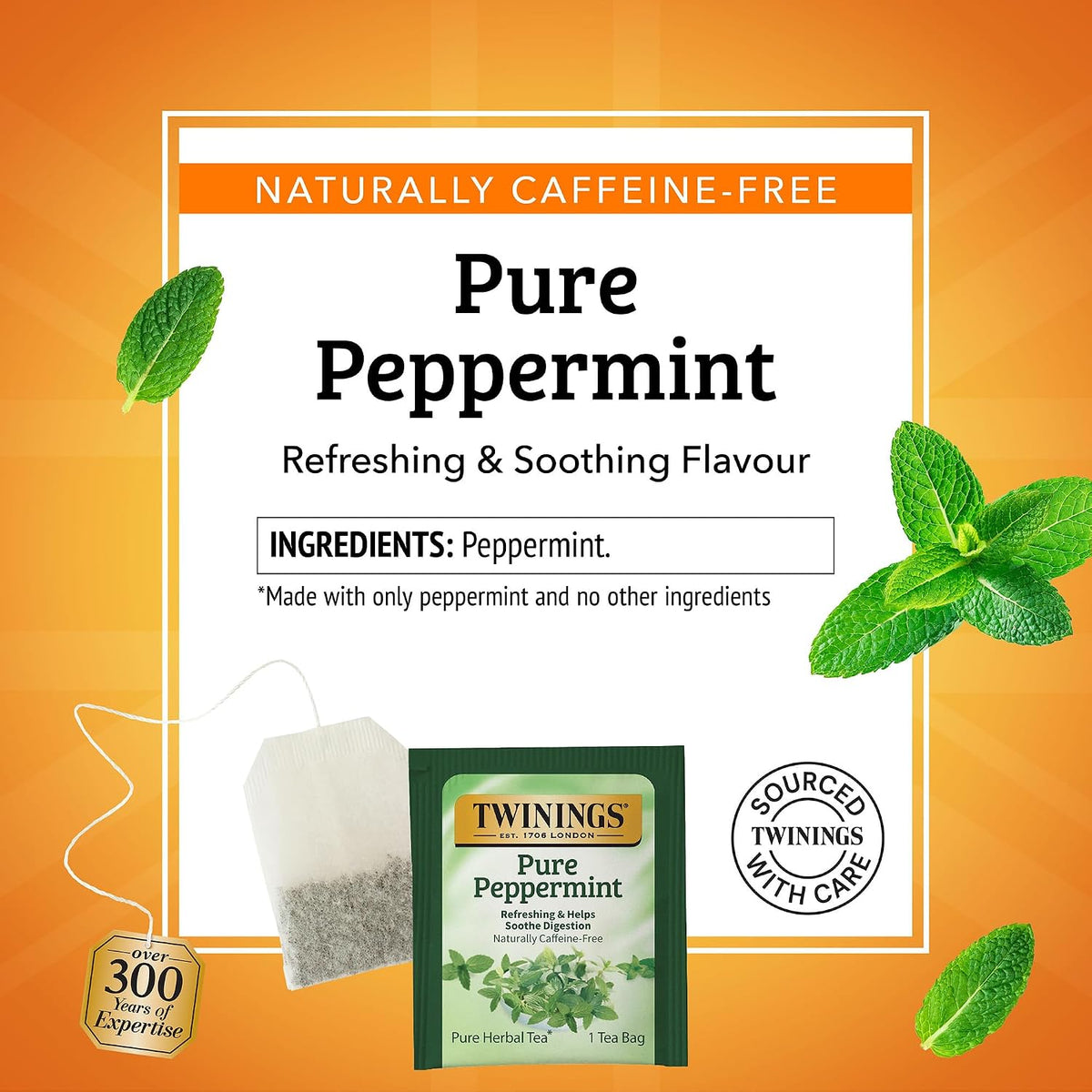 Twinings Pure Peppermint 100 teabags pack