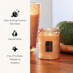 Voluspa 18 oz pumpkin candle with 100-hour burn time