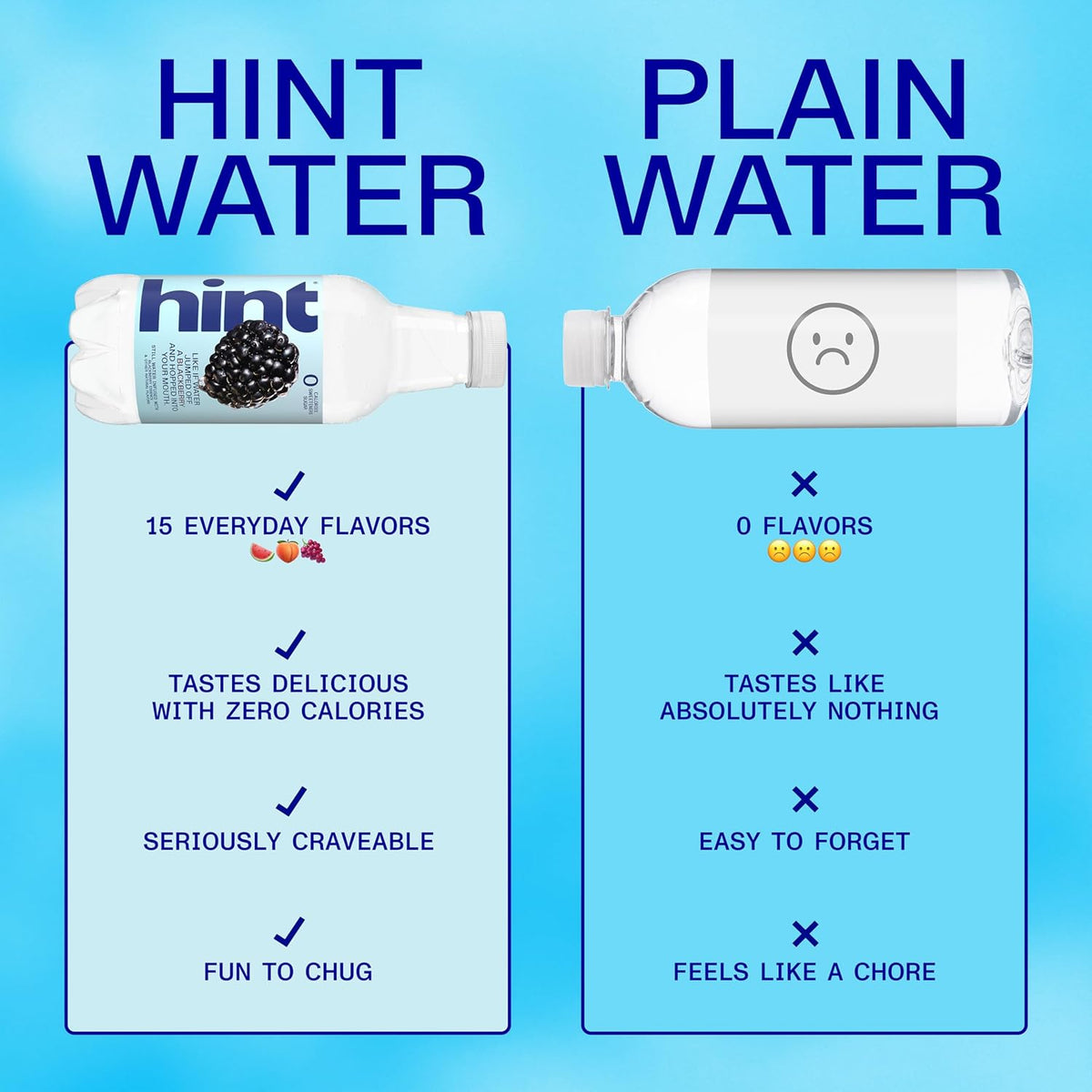 Hint 16 fl oz blackberry water bottles