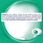 Spearmint sugar-free gum with resealable bottle