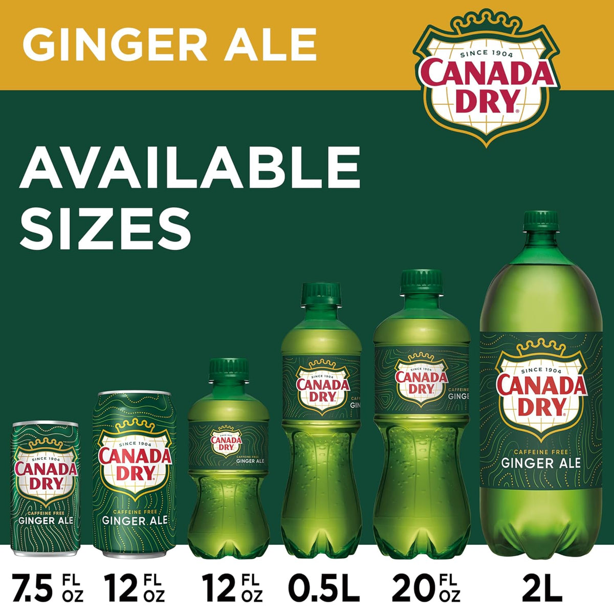 Canada Dry Ginger Ale soda cans for stocking up