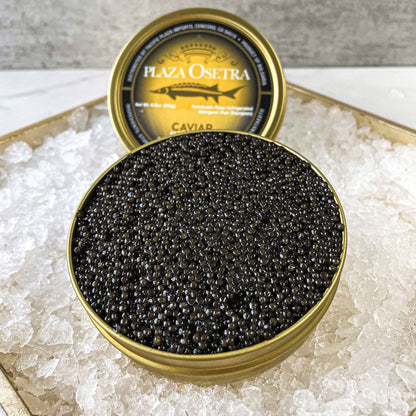 Vacuum sealed Plaza Osetra caviar tin
