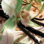 Fine'ry body mist with fluffy vanilla and tonka bean notes