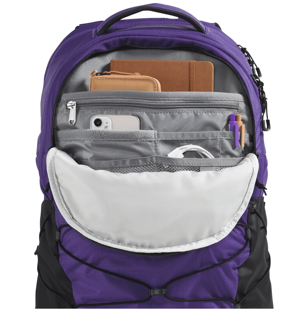 Back panel and shoulder straps on Borealis backpack