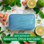 Irish Spring Icy Blast daily cleansing bar soap