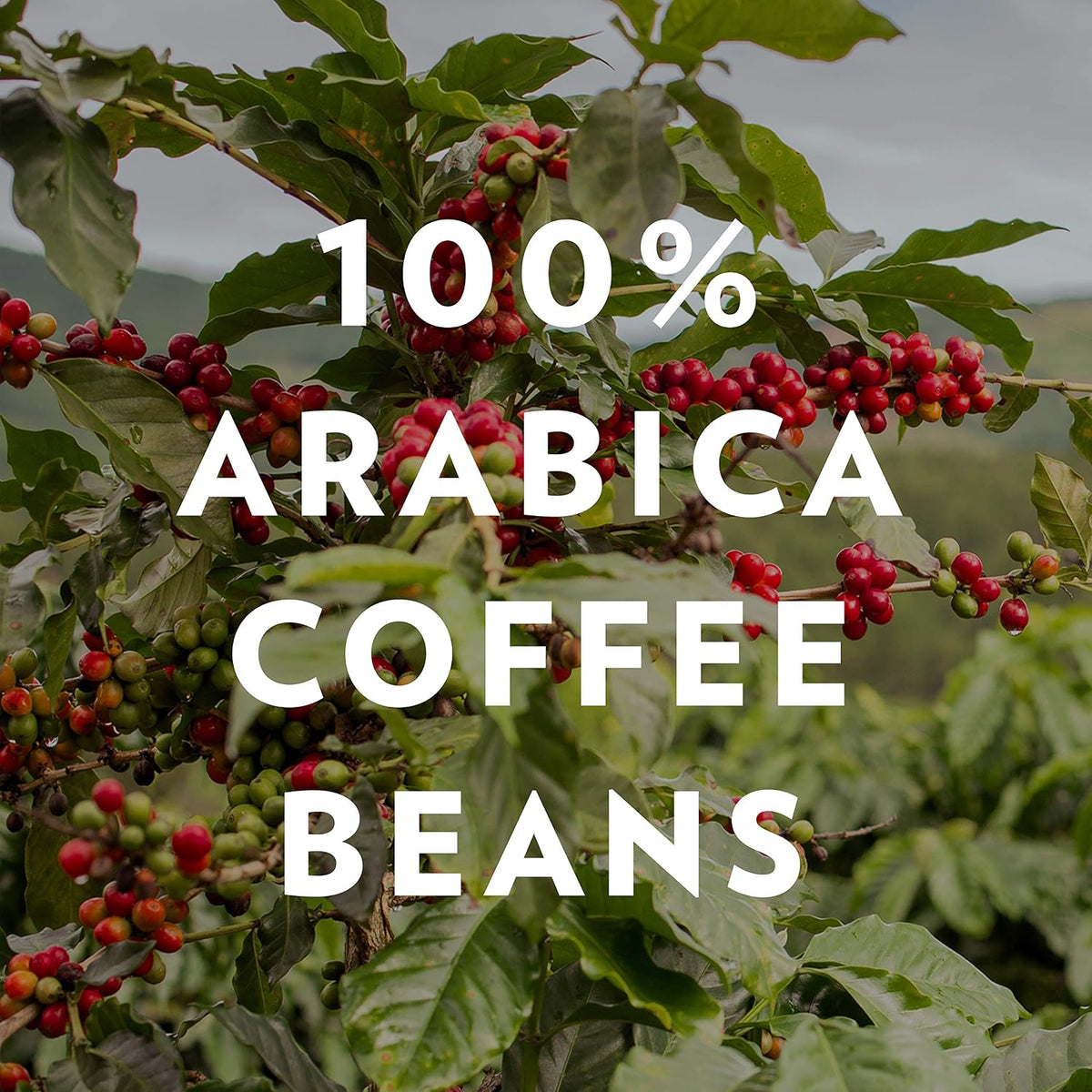 72 count Arabica coffee K-Cup pods by Community Coffee