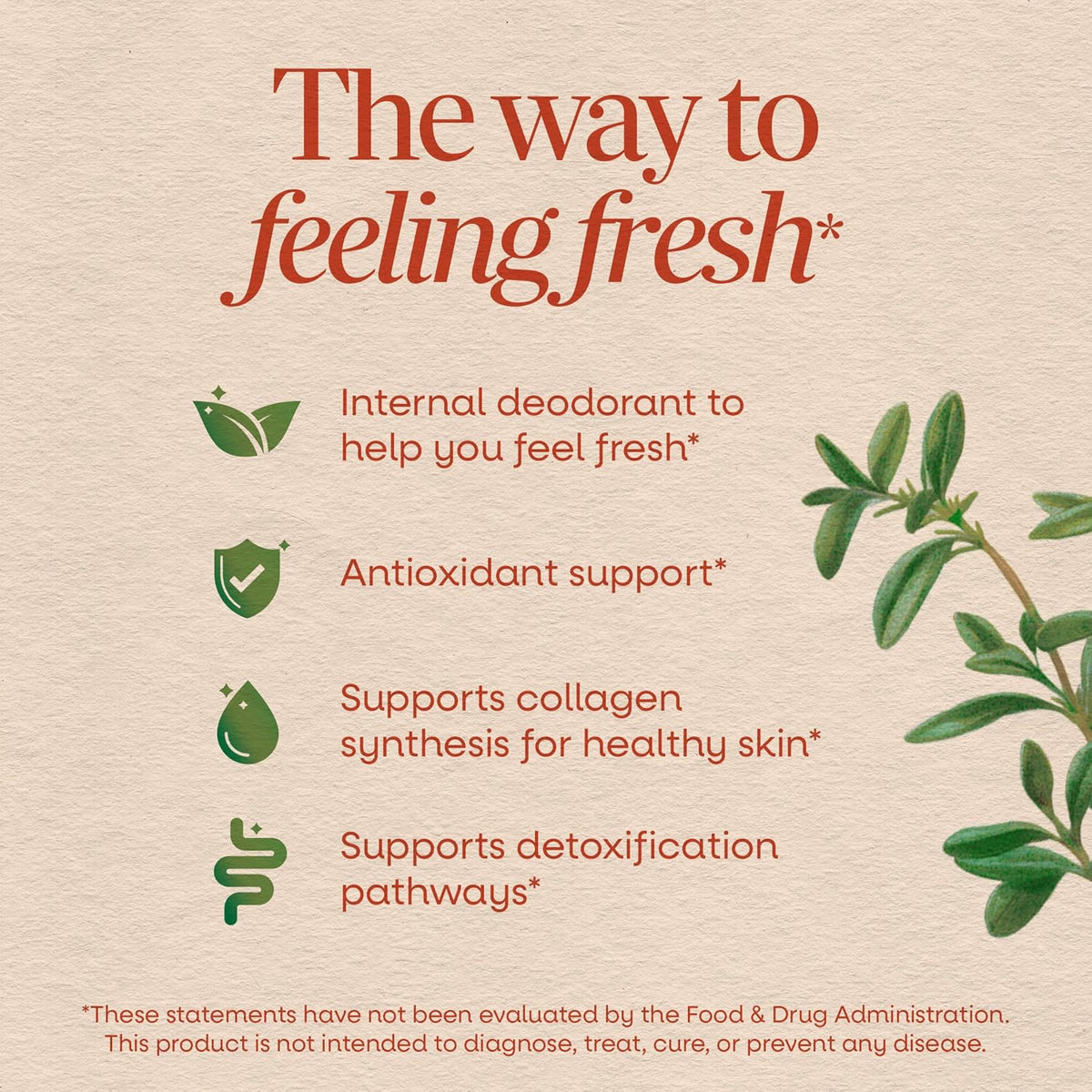 Nature's Way Chlorofresh vegetarian liquid supplement