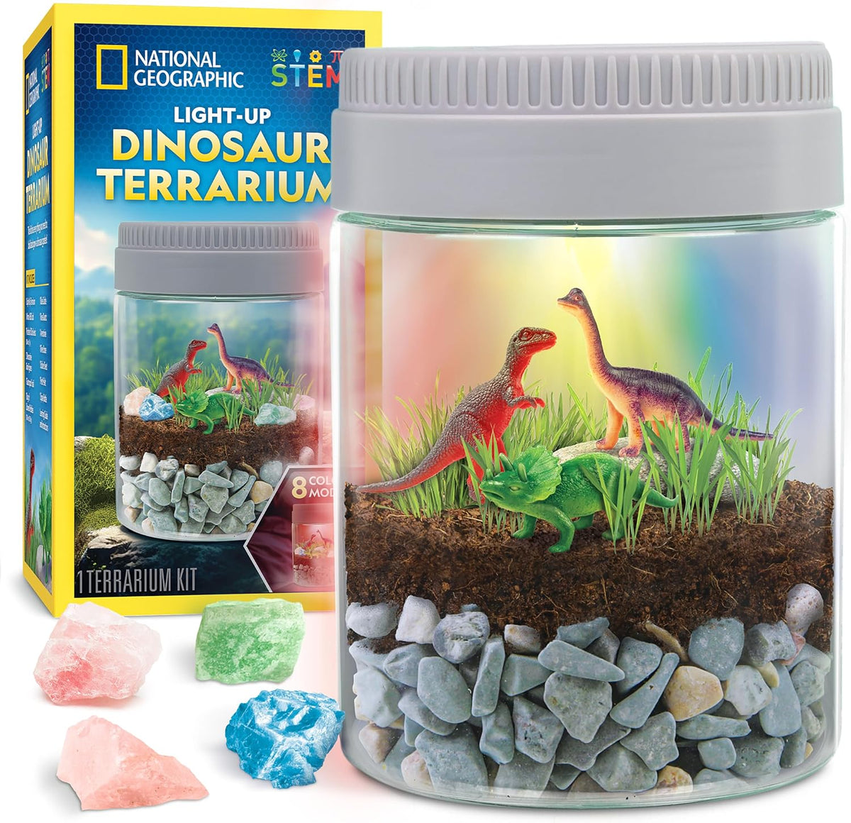 Dinosaur terrarium kit with LED light lid
