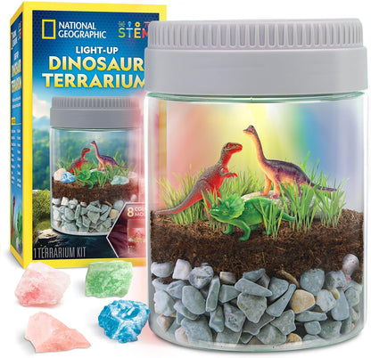 Dinosaur terrarium kit with LED light lid