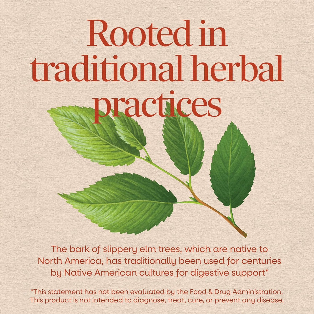 Nature's Way herbal digestive support capsules