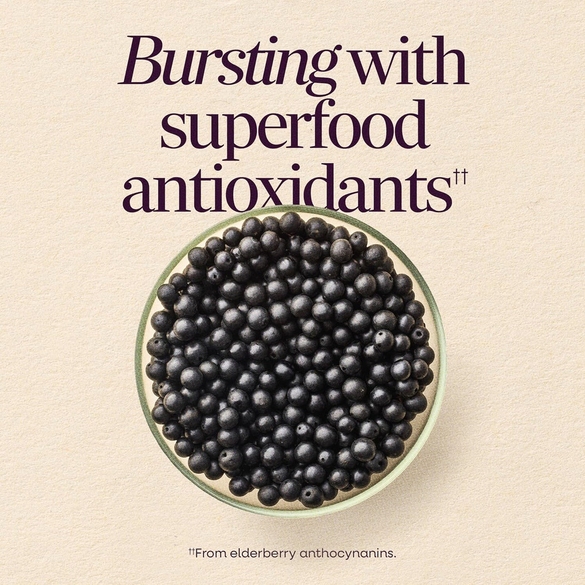 Nature's Way vegetarian elderberry gummies supplement bottle