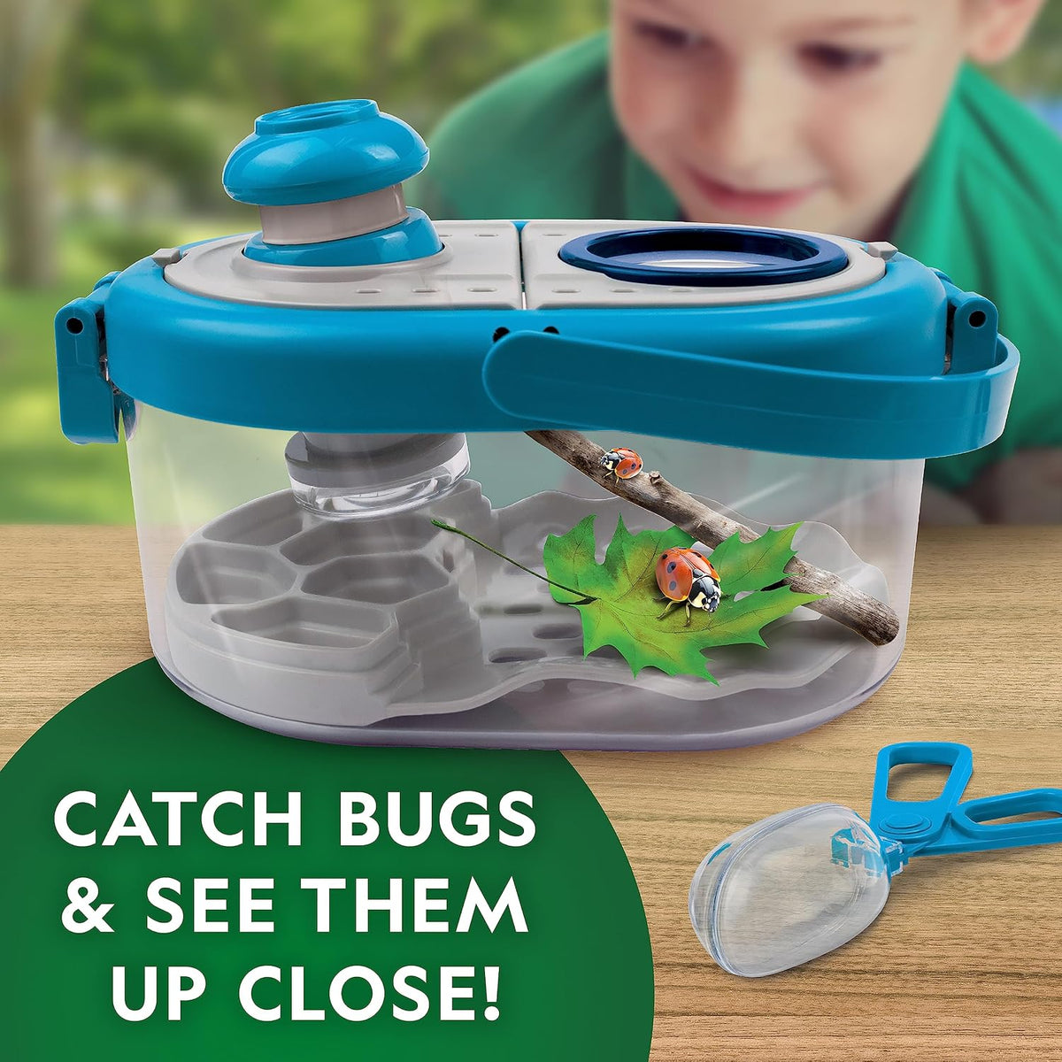 Bug habitat with removable base and latching lid