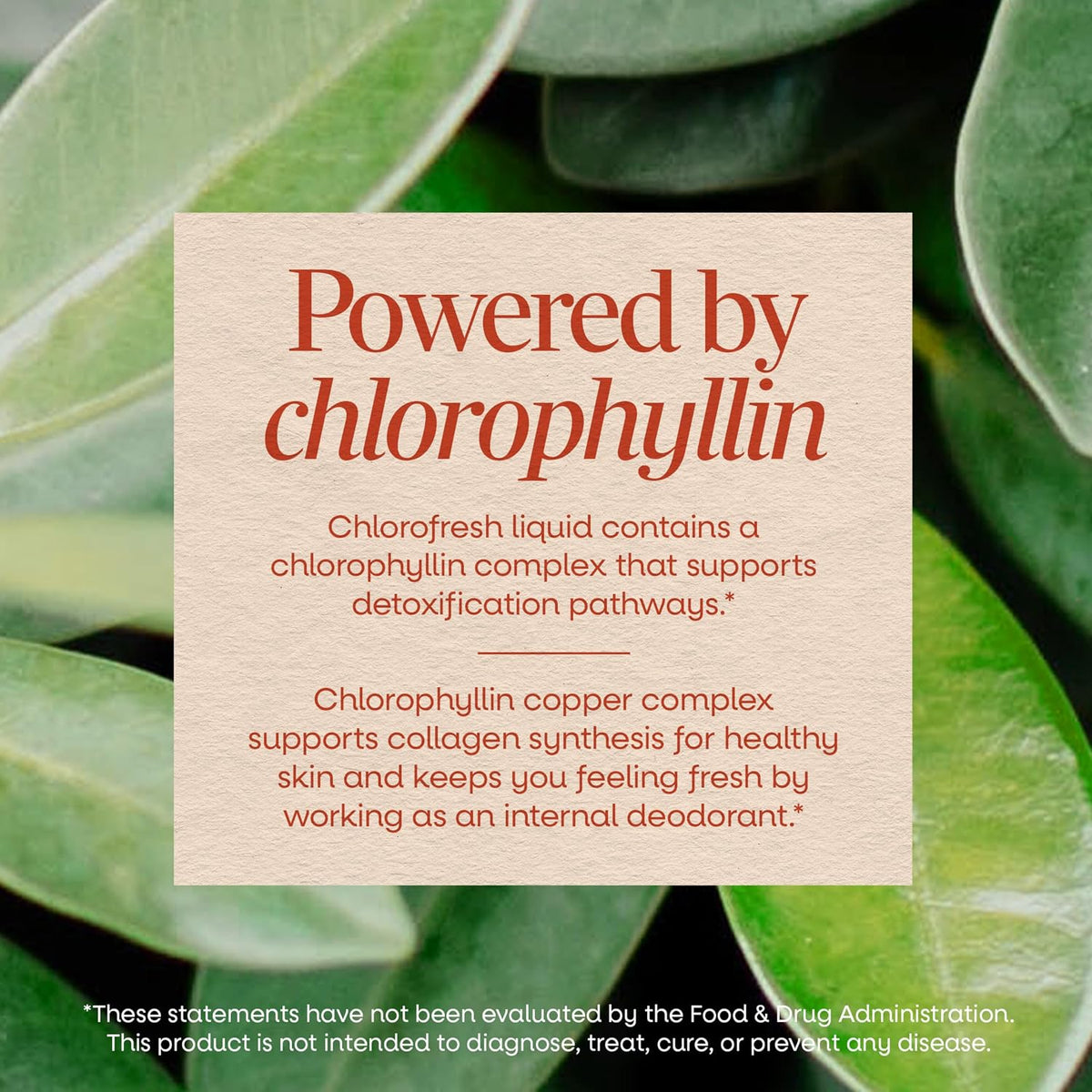 Nature's Way Chlorofresh 16 fl oz wellness supplement