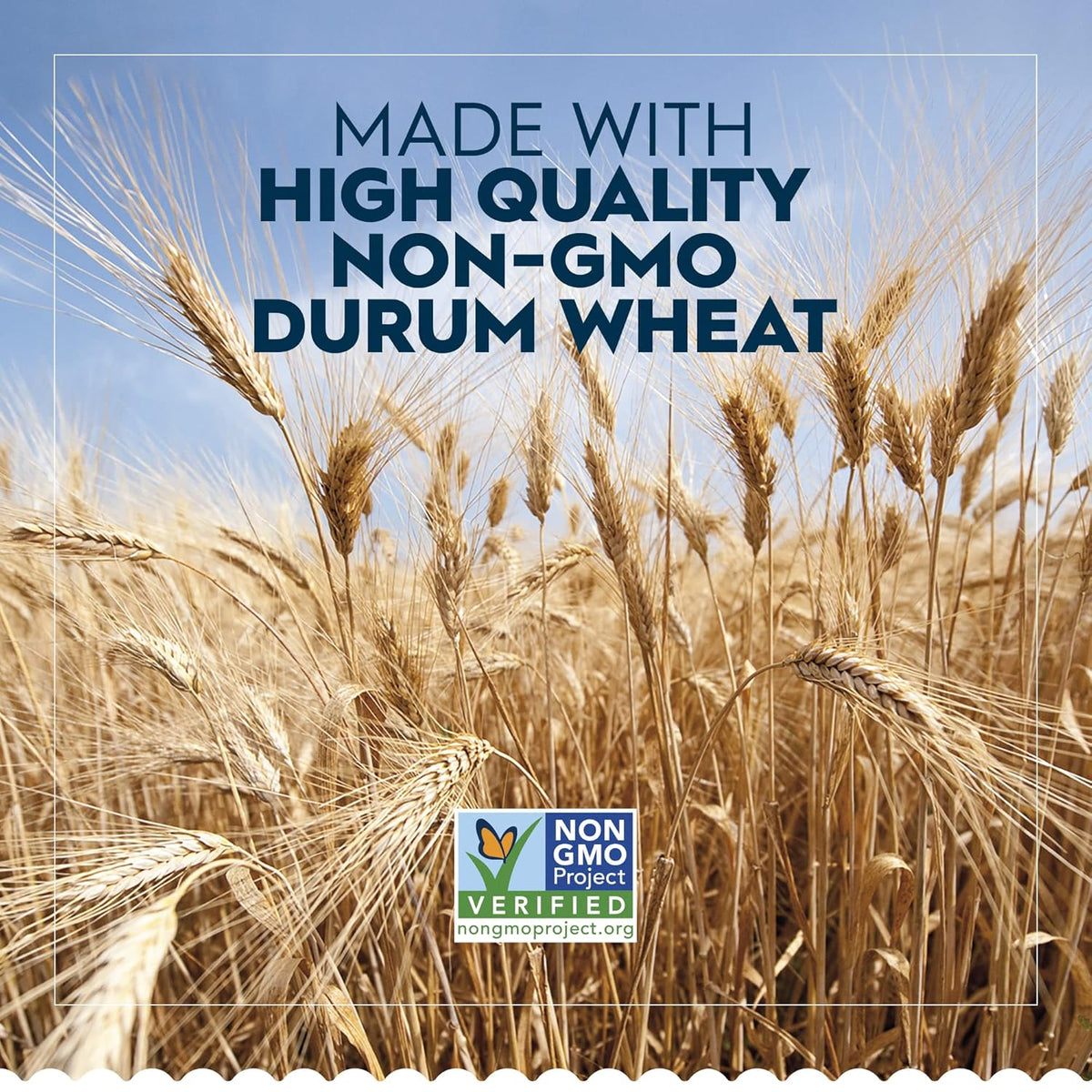 Durum wheat rotini pasta for quick dinners