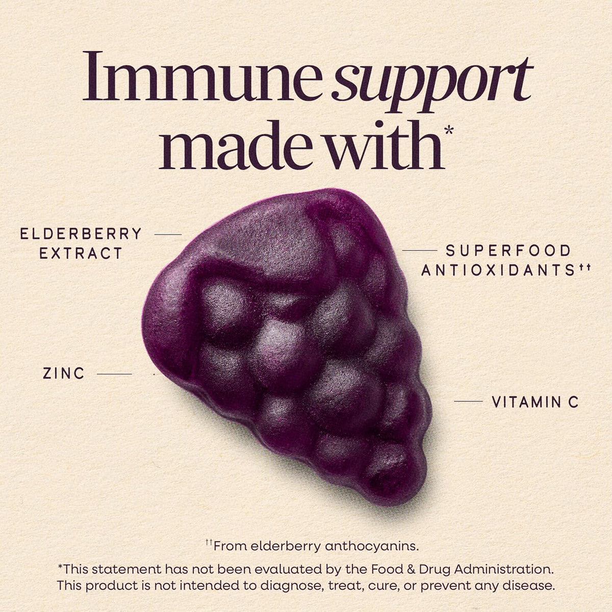 Nature's Way children's elderberry supplement with vitamin C and zinc