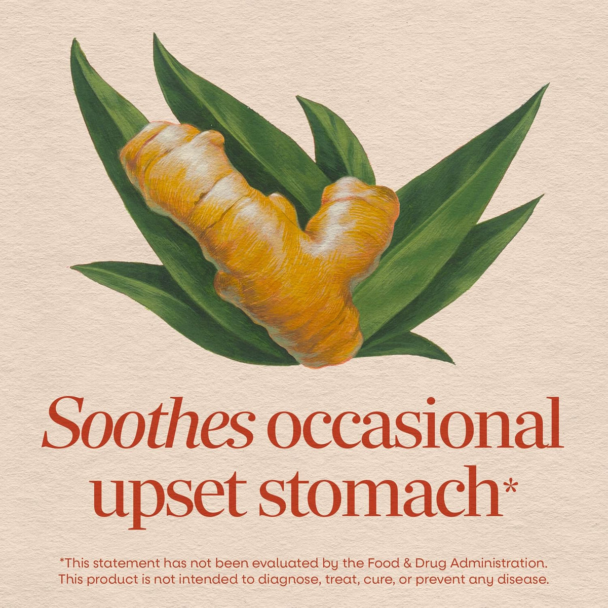 Non-GMO ginger root capsules for digestive comfort