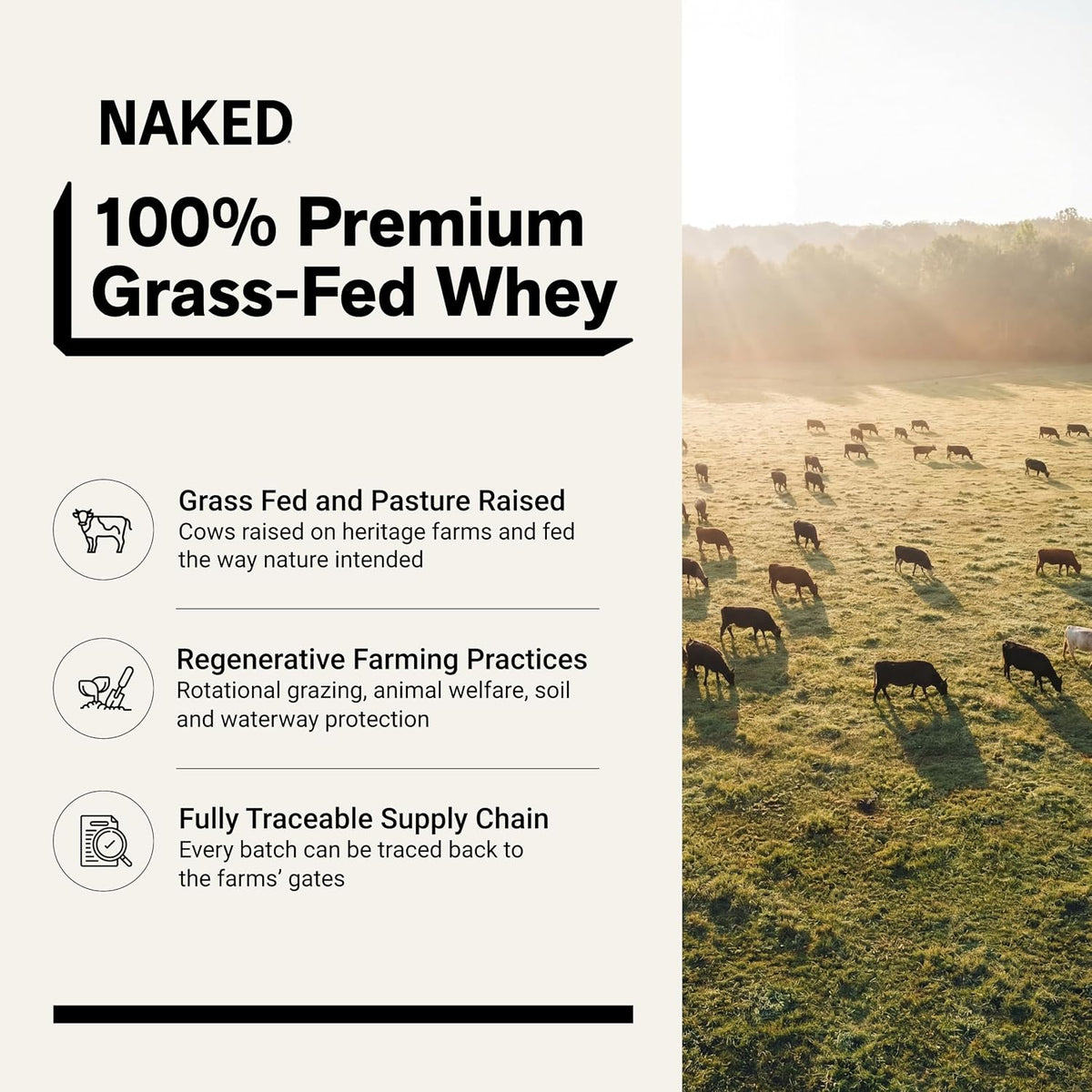 100% grass fed NAKED whey protein 2LB