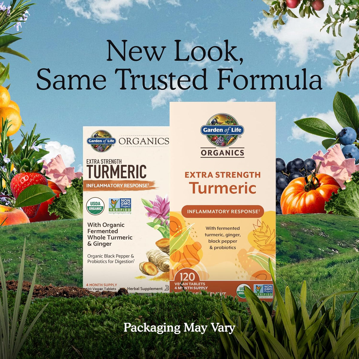 Organic turmeric supplement with curcumin ginger and black pepper
