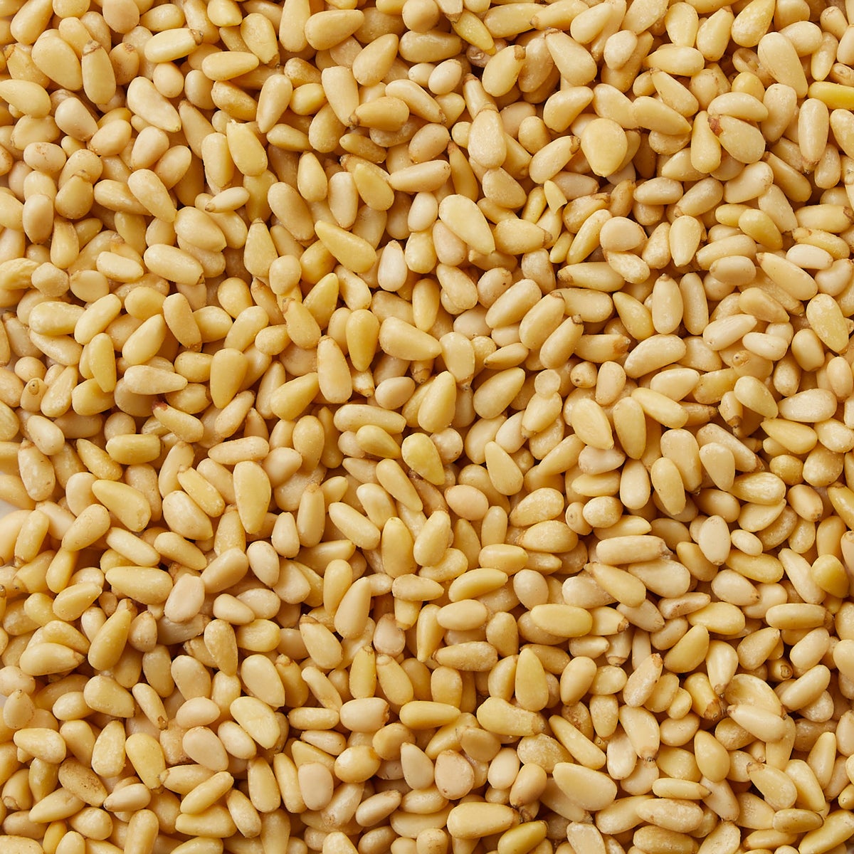 1.5 lb Kirkland Signature pine nuts bag