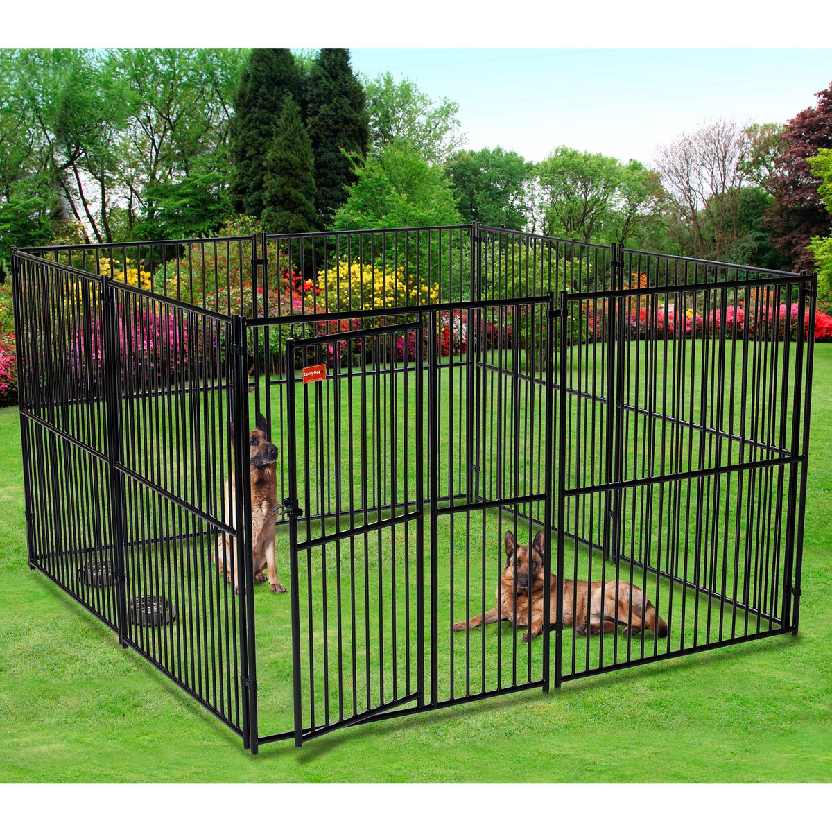 Spacious outdoor pet kennel by Lucky Dog