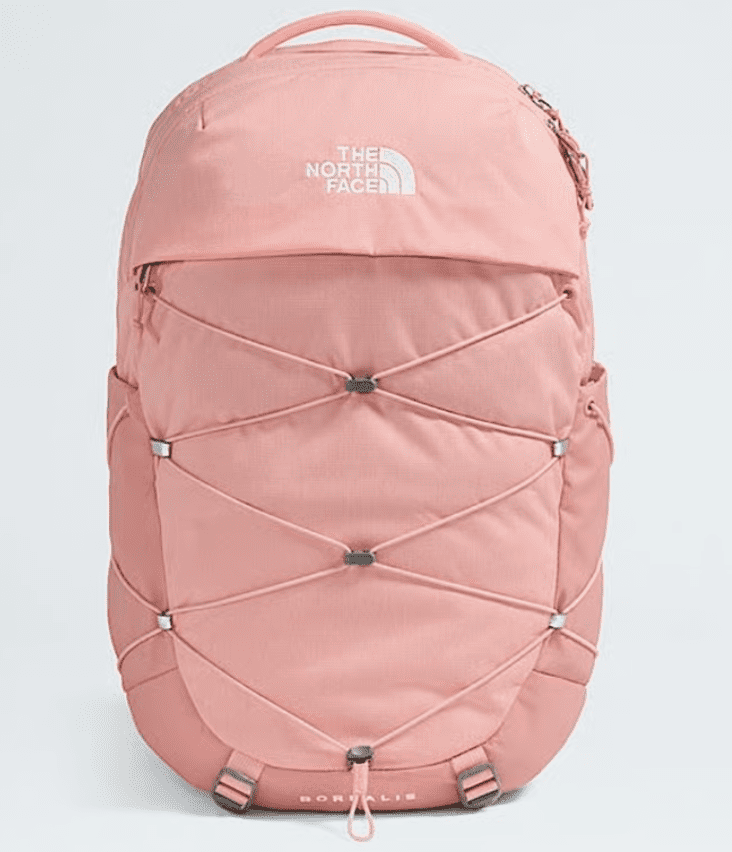 The North Face Borealis Backpack in Terracotta Dark