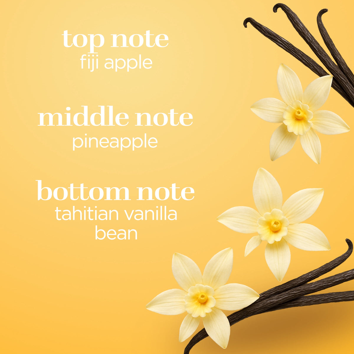 Signature Vanilla fragrance spray by Body Fantasies