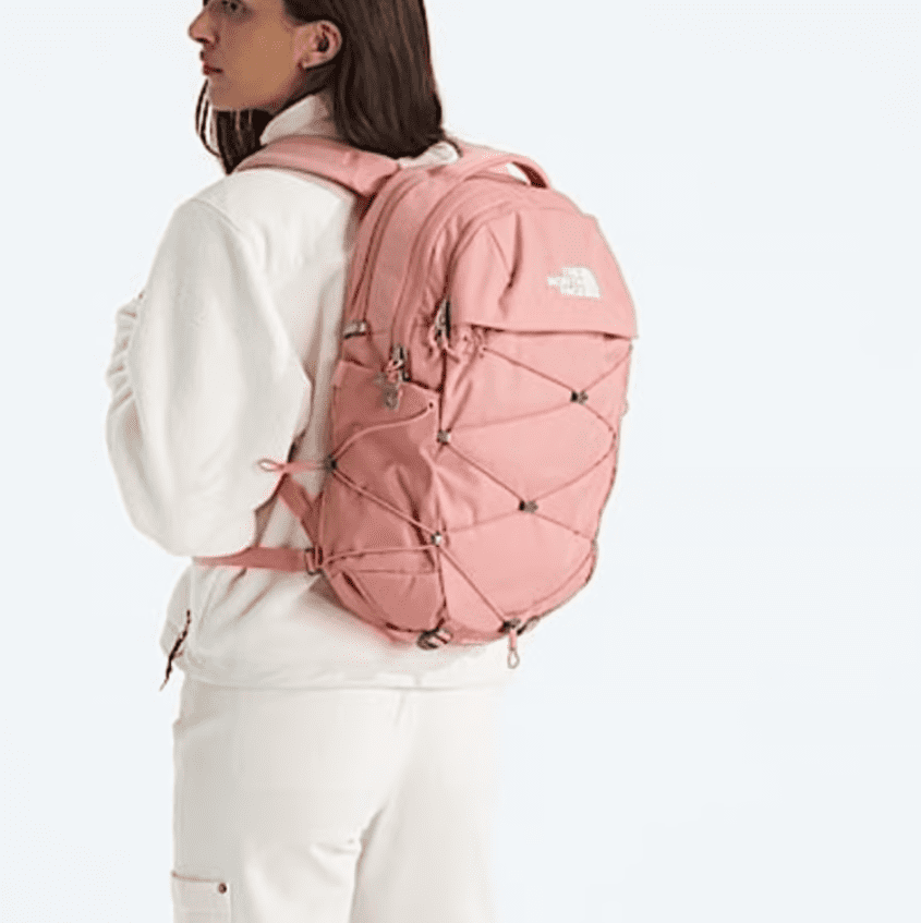 The North Face daypack with organized compartments