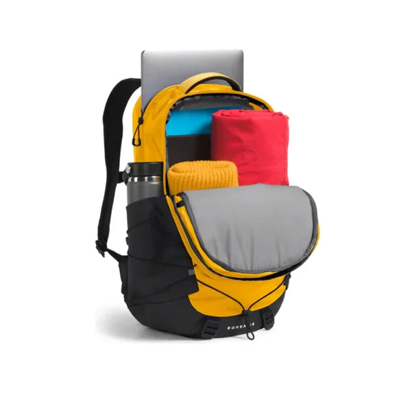 Back view of The North Face Borealis backpack