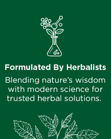 Visit the Traditional Medicinals Store — Traditional Medicinals Organic Spearmint, 16 Tea Bags - product image 39