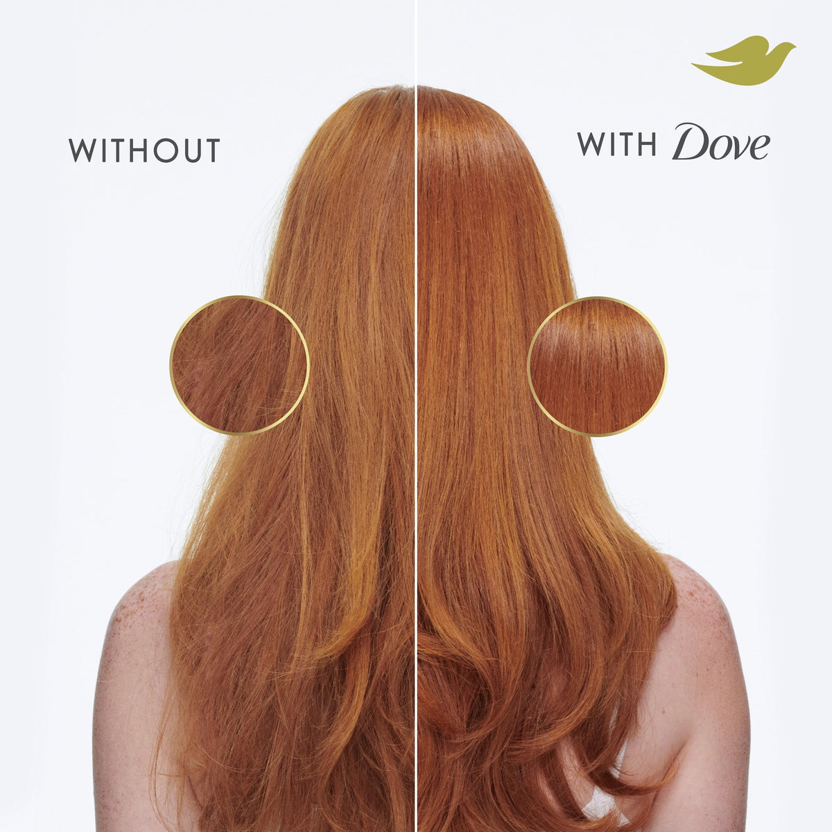 Dove Intensive Repair shampoo and conditioner with Glutamic Amino Serum
