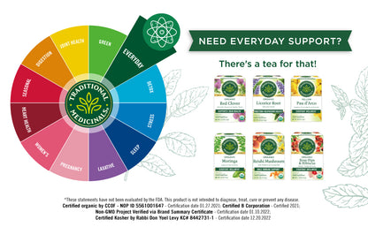 Visit the Traditional Medicinals Store — Traditional Medicinals Organic Spearmint, 16 Tea Bags - product image 64