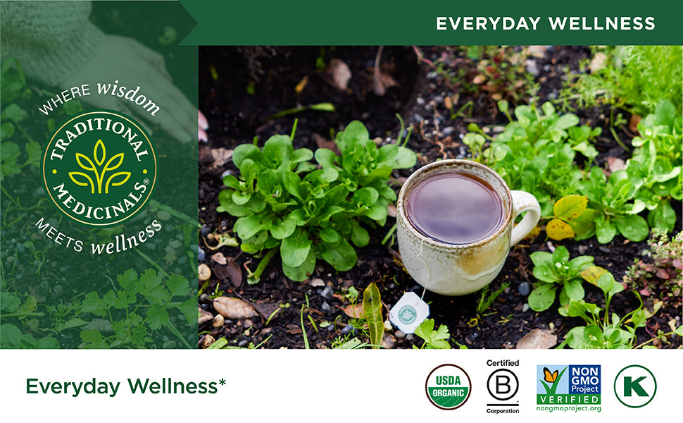 Visit the Traditional Medicinals Store — Traditional Medicinals Organic Spearmint, 16 Tea Bags - product image 62