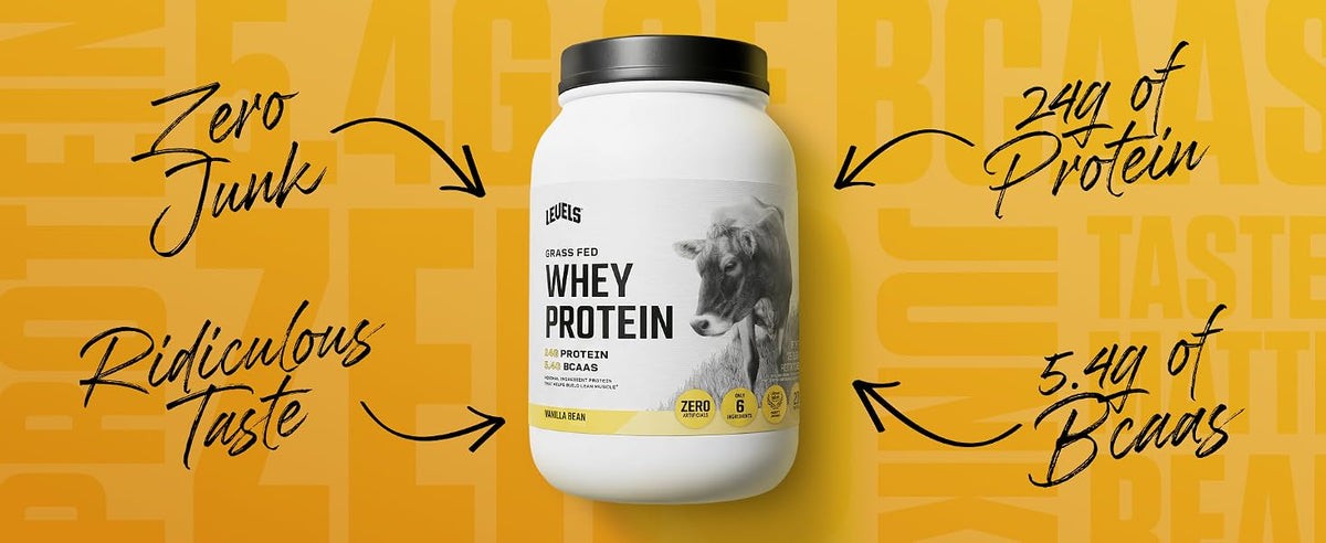 Levels whey protein powder lifestyle essential