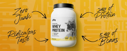 Levels whey protein powder lifestyle essential