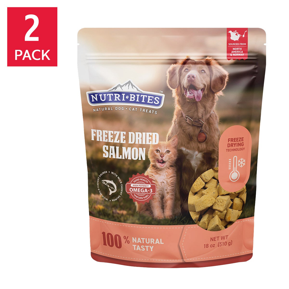 NutriBites freeze dried salmon treats for dogs and cats